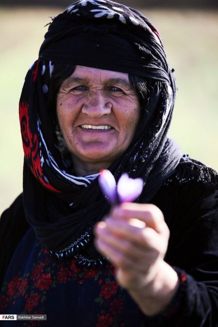 اخباراقتصادی ,خبرهای اقتصادی , زعفران اخباراقتصادی ,خبرهای اقتصادی, زعفران