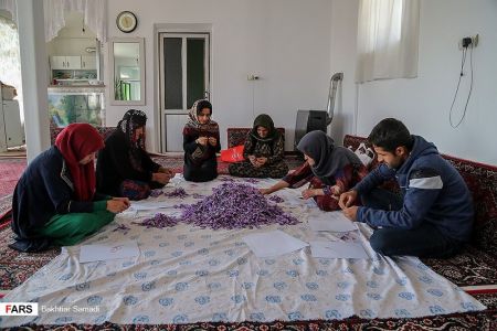 اخباراقتصادی ,خبرهای اقتصادی , زعفران اخباراقتصادی ,خبرهای اقتصادی, زعفران