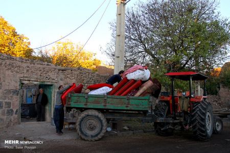  اخبار اجتماعی ,خبرهای اجتماعی, زلزله‌زدگان شهر میانه