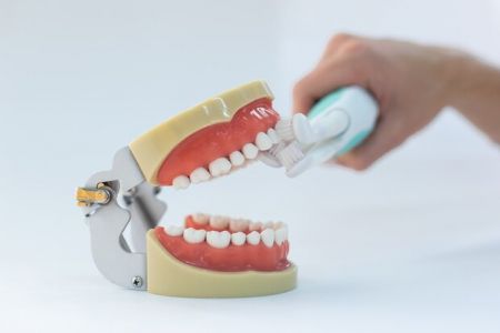 اخبار علمی,خبرهای علمی ,مسواک اخبار علمی ,خبرهای علمی,مسواک