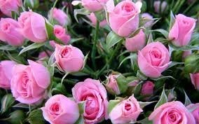 اخباراقتصادی ,خبرهای اقتصادی ,گل اخباراقتصادی ,خبرهای اقتصادی,گل