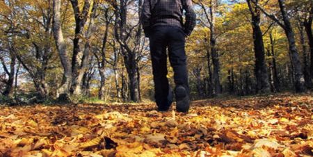 اخبار پزشکی ,خبرهای پزشکی ,افسردگی اخبار پزشکی ,خبرهای پزشکی,افسردگی