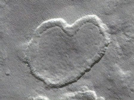 اخبارگوناگون,خبرهای گوناگون ,خورشید اخبارگوناگون,خبرهای گوناگون ,خورشید