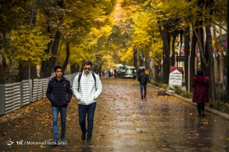 اخبار,انعکاس,پاییز درچهارباغ اصفهان اخبار,انعکاس,پاییز درچهارباغ اصفهان