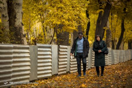 اخبار,انعکاس,پاییز درچهارباغ اصفهان اخبار,انعکاس,پاییز درچهارباغ اصفهان
