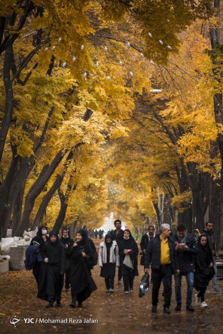 اخبار,انعکاس,پاییز درچهارباغ اصفهان اخبار,انعکاس,پاییز درچهارباغ اصفهان