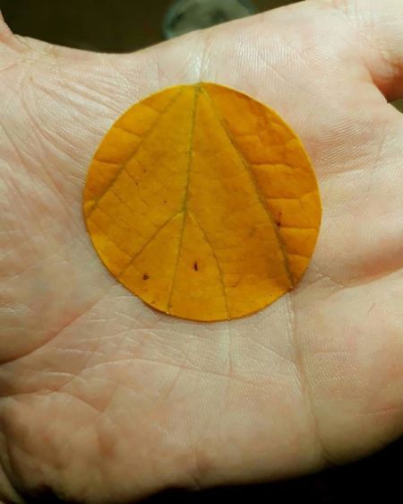 اخبار,اخبار گوناگون,تصاویری که روحتان را آرام می‌کند