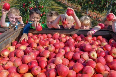 اخبار,اخبارگوناگون,موضوعات جالب و زیبایی که در کشورهای مختلف تدریس میشود اخبار,اخبارگوناگون,موضوعات جالب و زیبایی که در کشورهای مختلف تدریس میشود
