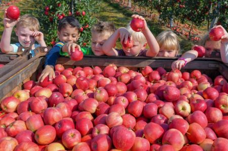 اخبار,اخبارگوناگون,موضوعات جالب و زیبایی که در کشور‌های مختلف تدریس می‌شود