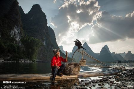 اخبار,اخبارگوناگون, صید ماهی به روش ماهیگیر چینی