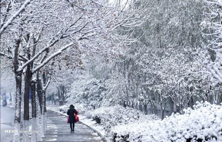 اخبار,عکس خبری, بارش برف در چین