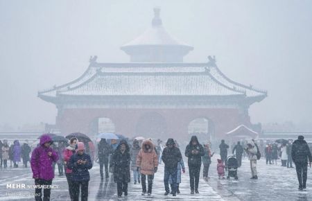اخبار,عکس خبری, بارش برف در چین