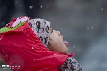 اخبار,عکس خبری, بارش برف در چین