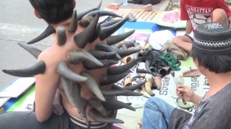 اخبار,اخبار گوناگون,حجامت با شاخ گاو اخبار,اخبار گوناگون,حجامت با شاخ گاو