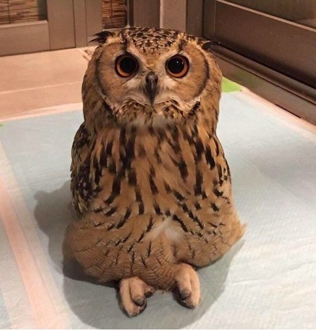اخبار,اخبار گوناگون اخبار,اخبار گوناگون