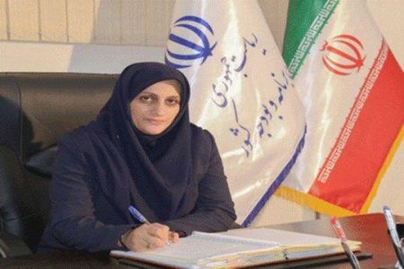 اخبار,اخبار اقتصادی,سخنگوی ستاد بودجه