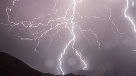 اخبار,اخبار گوناگون,داستان مردگان