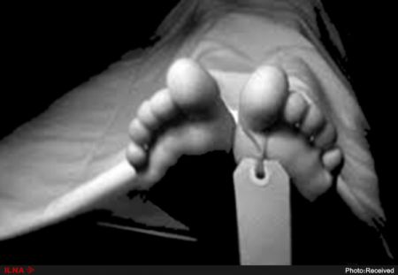 اخبار پزشکی ,خبرهای پزشکی ,آنفولانزا اخبار پزشکی ,خبرهای پزشکی,آنفولانزا