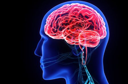 اخبار پزشکی ,خبرهای پزشکی ,نشستن طولانی مدت اخبار پزشکی ,خبرهای پزشکی,نشستن طولانی مدت