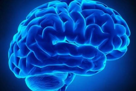 اخبار پزشکی ,خبرهای پزشکی ,مغز اخبار پزشکی ,خبرهای پزشکی,مغز