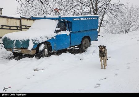  اخبار اجتماعی ,خبرهای اجتماعی,هواشناسی 