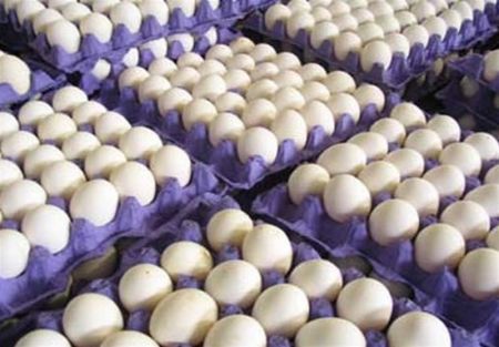 اخباراقتصادی ,خبرهای اقتصادی ,تخم مرغ اخباراقتصادی ,خبرهای اقتصادی,تخم مرغ