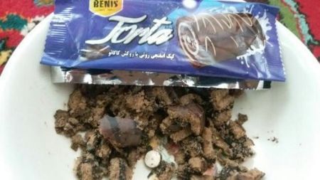 اخباراجتماعی ,خبرهای اجتماعی ,طنز اخبار اجتماعی ,خبرهای اجتماعی,طنز