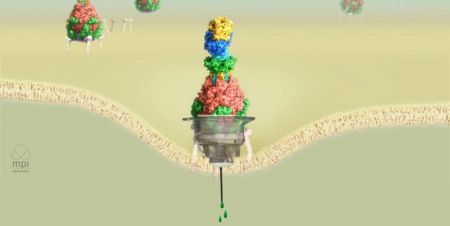 اخبار علمی,خبرهای علمی ,تزریق دارو به جای سم اخبار علمی ,خبرهای علمی,تزریق دارو به جای سم
