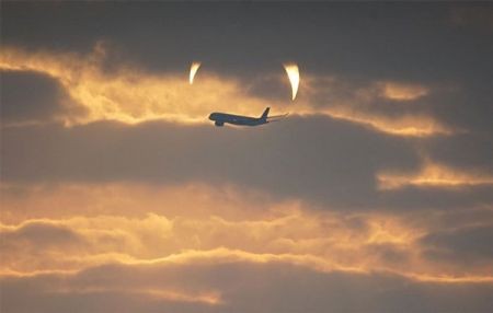 اخبار,اخبارگوناگون,طلوع «شاخهای شیطان» اخبار,اخبارگوناگون,طلوع «شاخهای شیطان»