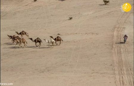 اخبار,عکس خبری, رقابتهای رالی داکار ۲۰۲۰ در صحرای عربستان اخبار,عکس خبری, رقابتهای رالی داکار ۲۰۲۰ در صحرای عربستان