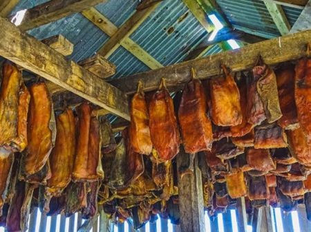 اخبار,اخبار گوناگون,۱۵ غذای عجیب و غریب از سراسر جهان اخبار,اخبار گوناگون,۱۵ غذای عجیب و غریب از سراسر جهان