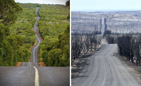 اخبار,اخبار گوناگون,تصاویر قبل و بعد از آتش‌سوزی در استرالیا