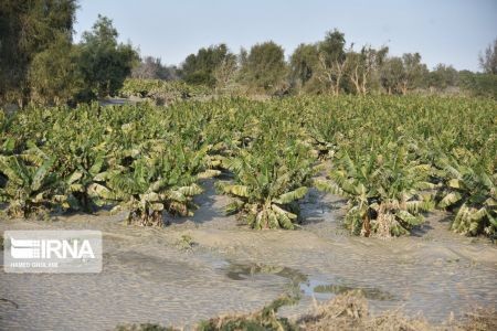 اخبار,اخبار حوادث,سیلاب بلوچستان اخبار,اخبار حوادث,سیلاب بلوچستان