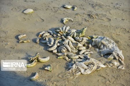 اخبار,اخبار حوادث,سیلاب بلوچستان اخبار,اخبار حوادث,سیلاب بلوچستان