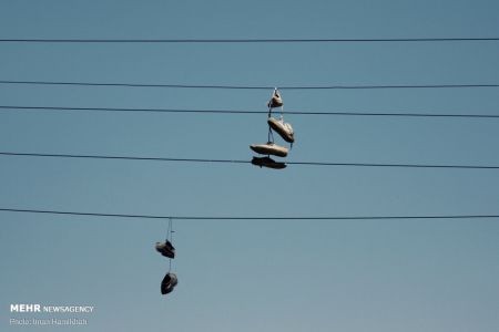اخبار,عکس خبری,آلودگی بصری اخبار,عکس خبری,آلودگی بصری