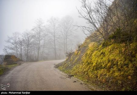 اخبار,انعکاس,یک روز زمستانی در طبعیت سیاهکل