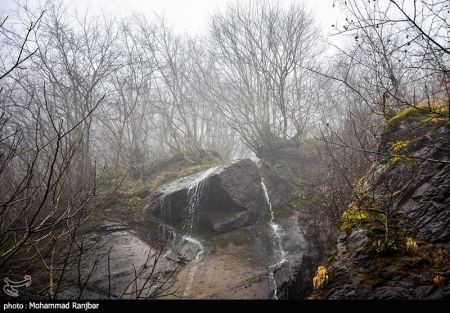 اخبار,انعکاس,یک روز زمستانی در طبعیت سیاهکل