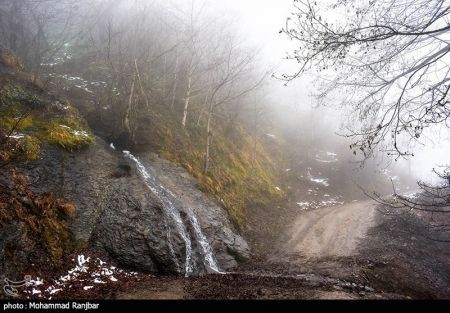 اخبار,انعکاس,یک روز زمستانی در طبعیت سیاهکل