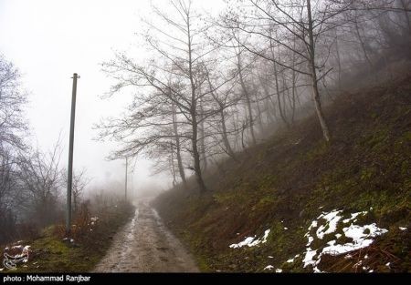 اخبار,انعکاس,یک روز زمستانی در طبعیت سیاهکل