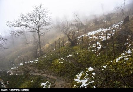 اخبار,انعکاس,یک روز زمستانی در طبعیت سیاهکل