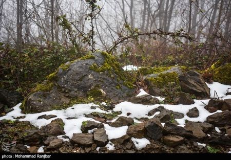 اخبار,انعکاس,یک روز زمستانی در طبعیت سیاهکل