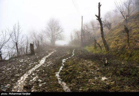 اخبار,انعکاس,یک روز زمستانی در طبعیت سیاهکل