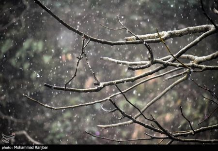 اخبار,انعکاس,یک روز زمستانی در طبعیت سیاهکل