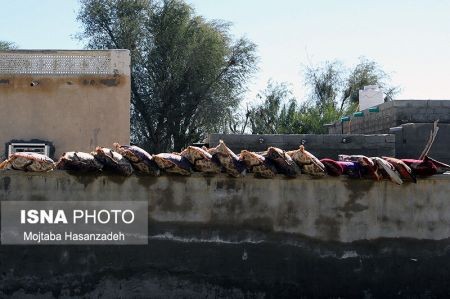 اخبار,عکس خبری,وضعیت روستاهای سیل زده «جاسک» یک هفته پس از سیل اخبار,عکس خبری,وضعیت روستاهای سیل زده «جاسک» یک هفته پس از سیل