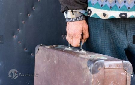 اخبار,اخبارگوناگون,رسمهای بامزه سال نو میلادی؛ از به حرف آوردن حیوان تا پرت کردن وسایل خانه اخبار,اخبارگوناگون,رسمهای بامزه سال نو میلادی؛ از به حرف آوردن حیوان تا پرت کردن وسایل خانه
