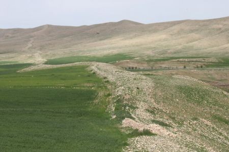 اخبار,اخباراجتماعی, آمریکا خبر کشف یک دیوار ایرانی را منتشر کرد اخبار,اخباراجتماعی, آمریکا خبر کشف یک دیوار ایرانی را منتشر کرد