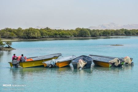 اخبار,انعکاس,بهارقشم درزمستان