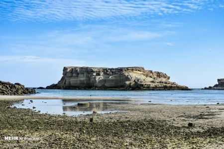 اخبار,انعکاس,بهارقشم درزمستان