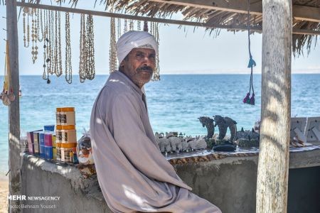 اخبار,انعکاس,بهارقشم درزمستان