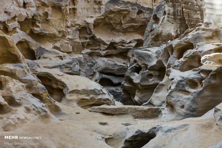 اخبار,انعکاس,بهارقشم درزمستان